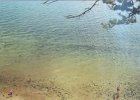 2) Beach at Brownsea Island.jpg